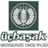 Üçbaşak