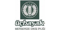 Üçbaşak