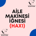 Aile Makinesi İğnesi (HAx1)